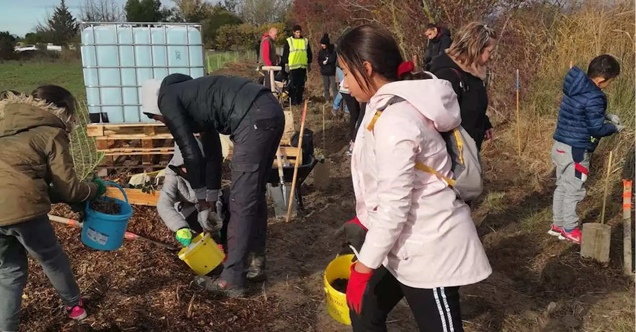 Les enfants plantent des arbres à La Roque d'Anthéron