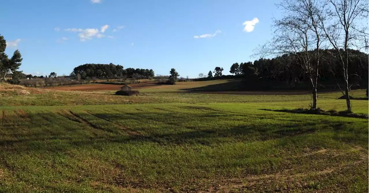 Sécheresse en Provence : le taux d'humidité des sols se rapproche des normales