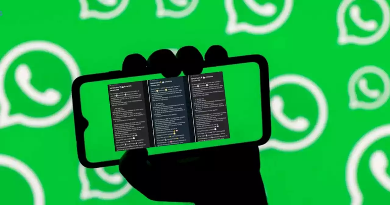 Covid-19: alertan por mensaje falso en Whatsapp sobre la nueva variante Ómicron XBB | Ciudadanos | La Voz del Interior