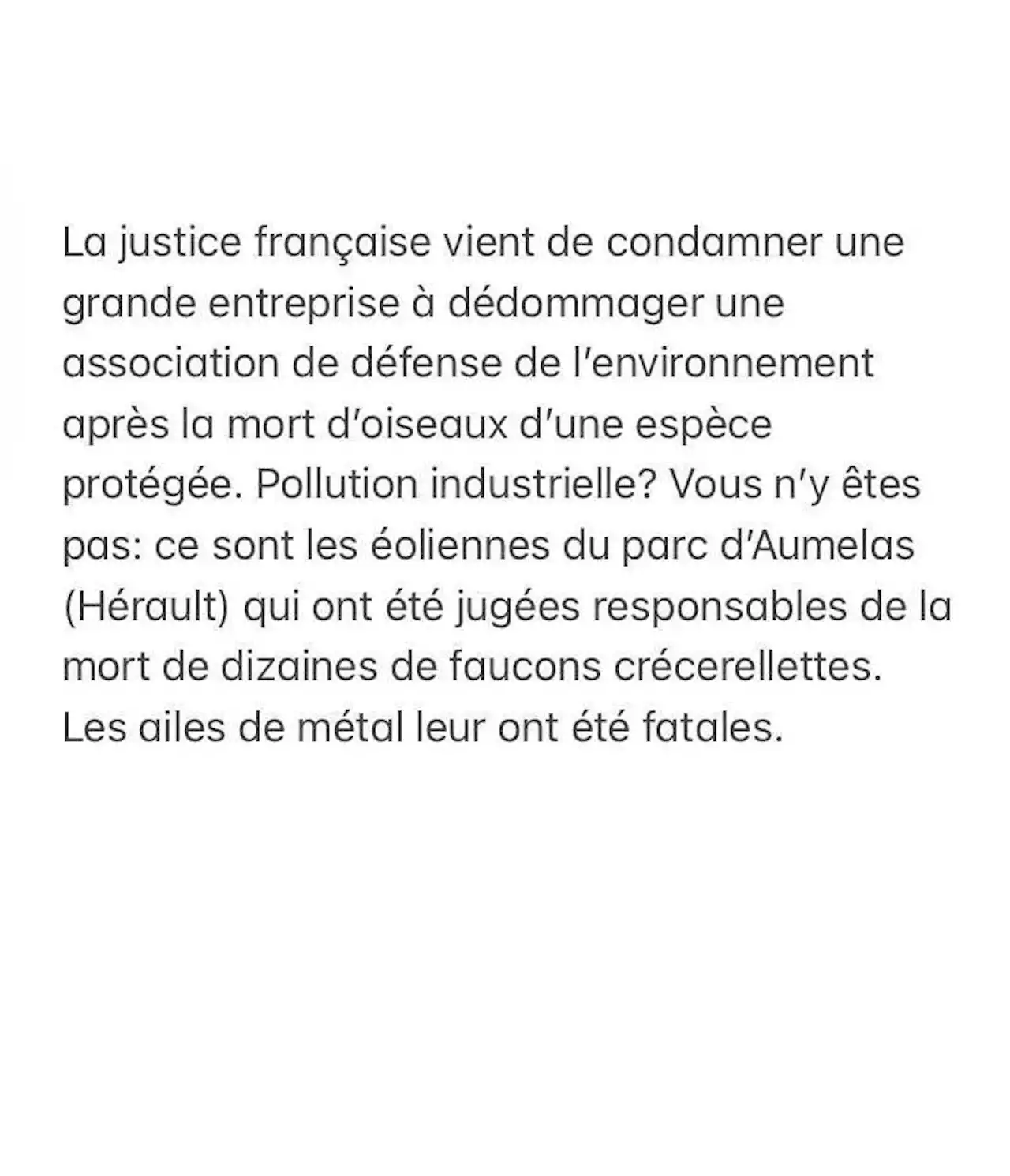 Éoliennes: «Beauté, mon beau souci»