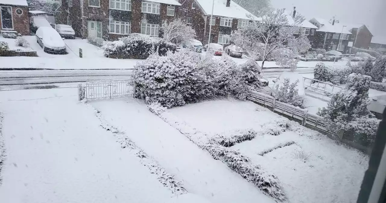 Rare cold weather warning as snow and 'Arctic blast' hits Leeds