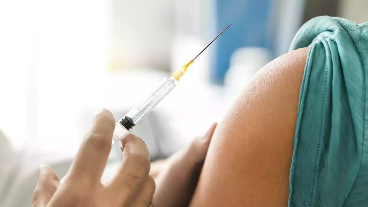 Grippe : la France doit «redoubler d'efforts» sur la vaccination, selon l'OCDE