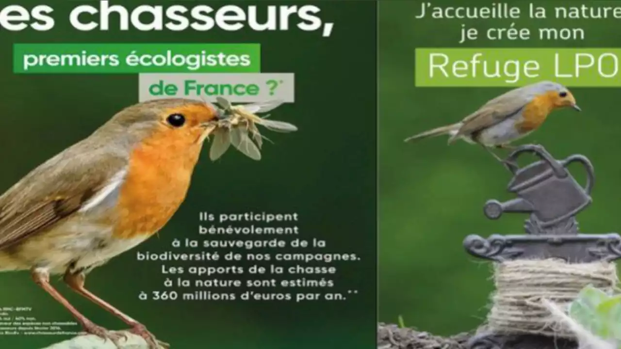 Les chasseurs condamnés pour avoir plagié une campagne des défenseurs des oiseaux