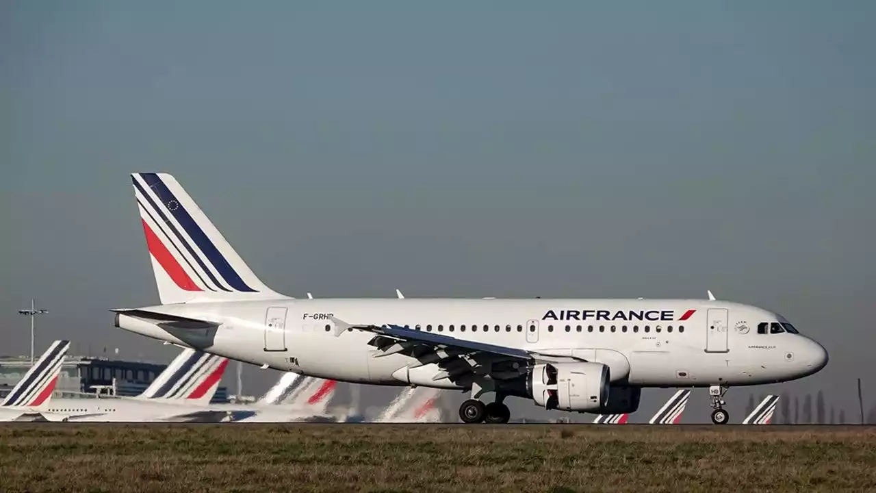 Pourquoi Air France et les compagnies aériennes se ruent sur les biocarburants