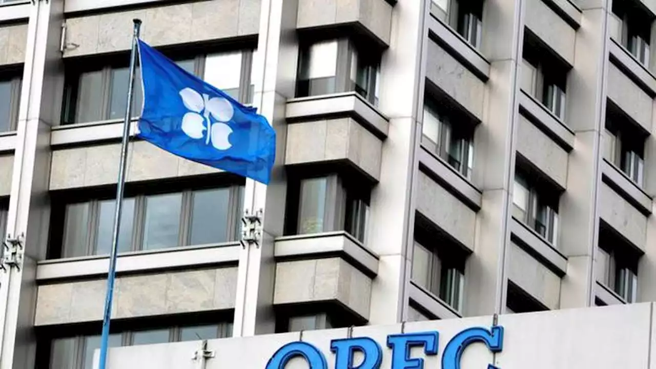 Harga Minyak Rusia Dibatasi, OPEC Justru Rembukan Pangkas Produksi Minyak Dunia 2 Juta Barel Sehari