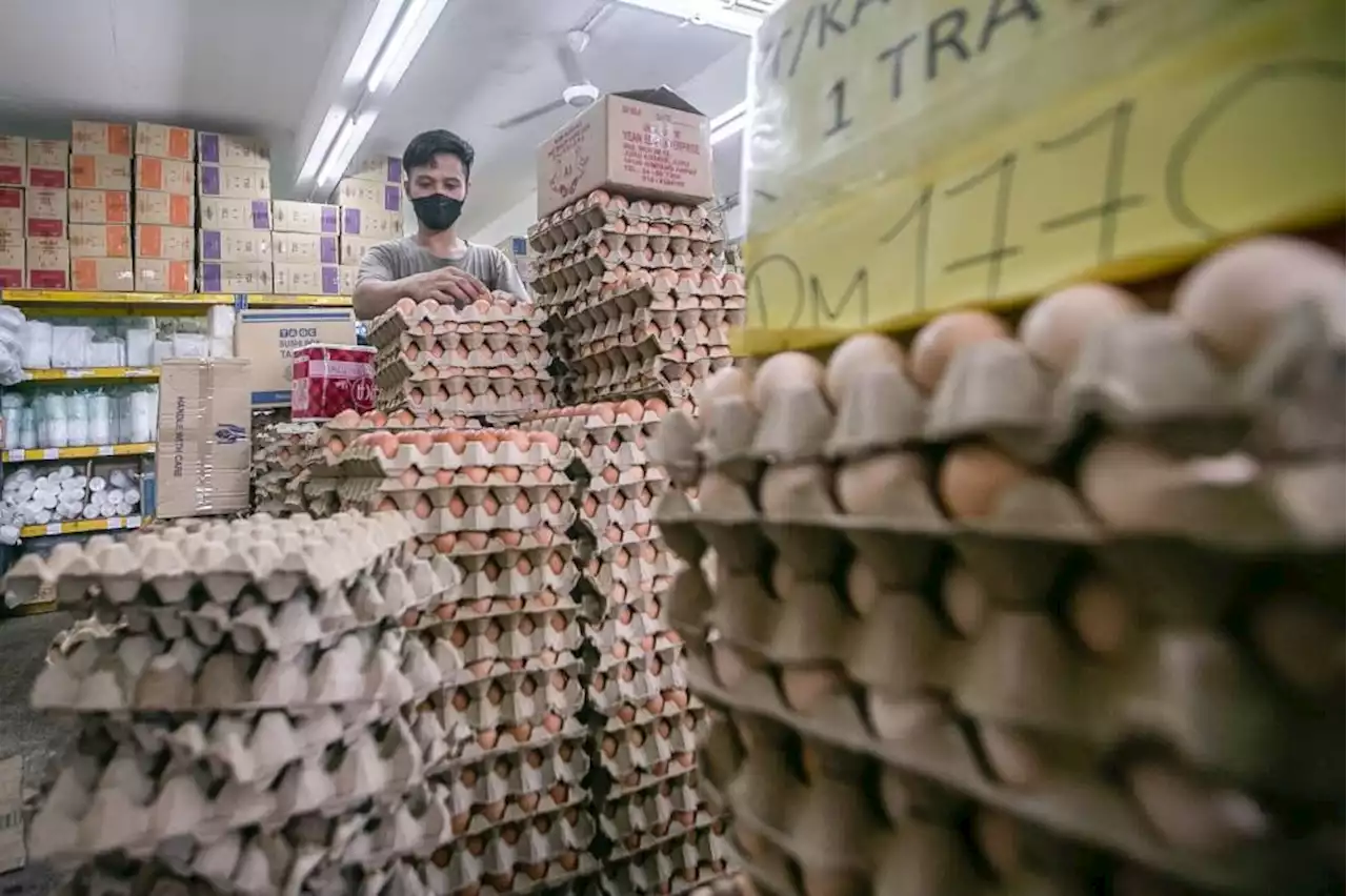 Ministry says adequate supply of eggs, subsidised cooking oil in Selangor