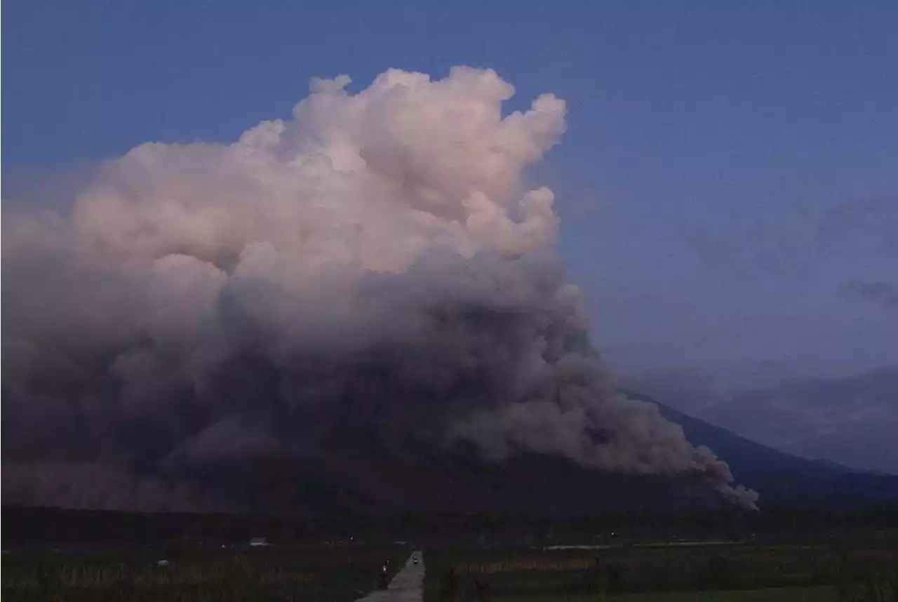 Indonesia's Mount Semeru erupts, forcing thousands to flee