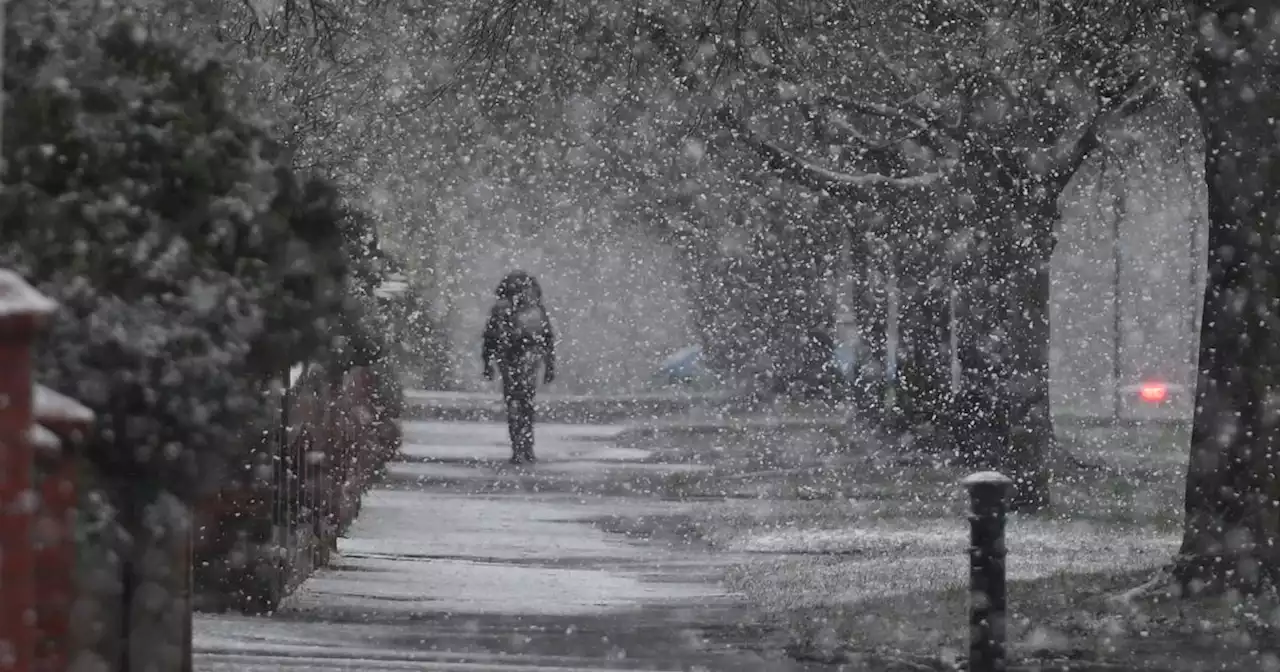 Met Office issues amber cold weather warning with severe conditions and snow