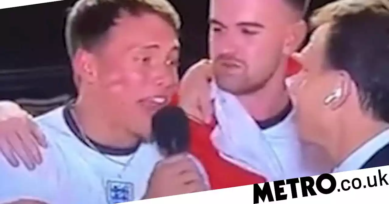 England fan shouts 'free Palestine' when interviewed live on Israeli TV