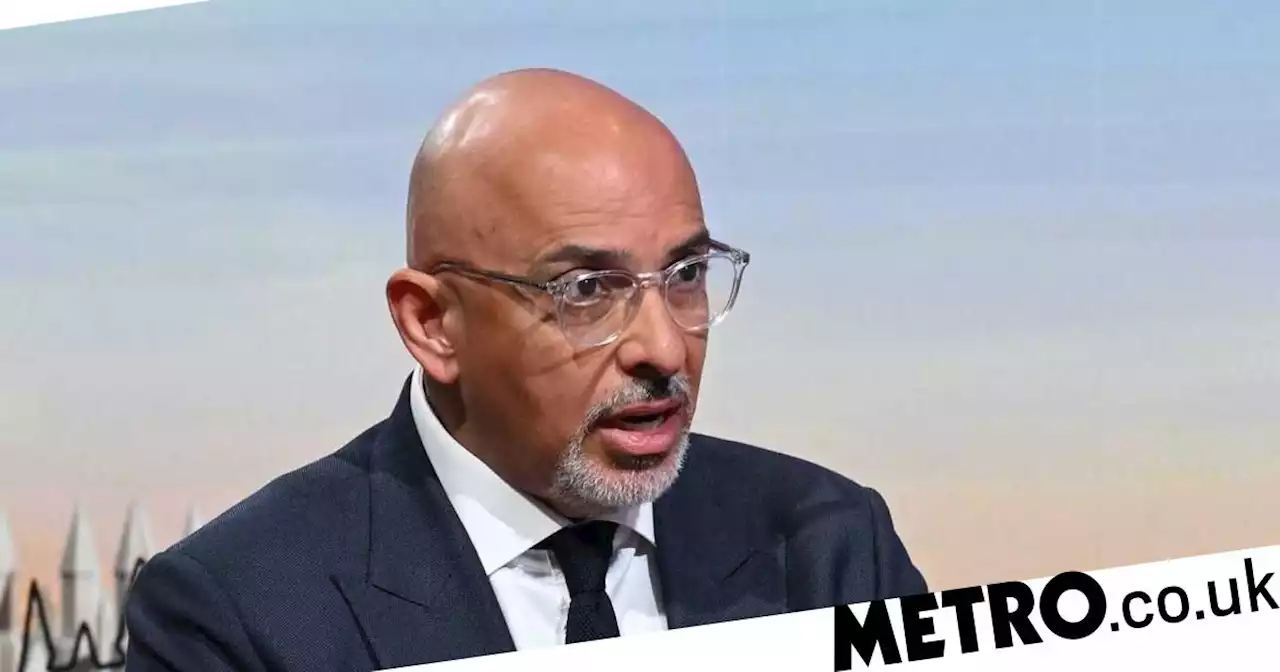 Nurses’ strike over pay is ‘playing into Putin’s hands’, claims Nadhim Zahawi