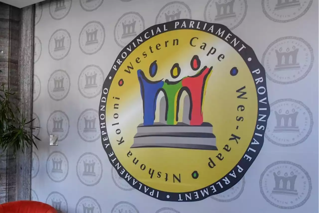 Increasing representation or enlarging the gravy train? W Cape considers more seats for political parties | News24