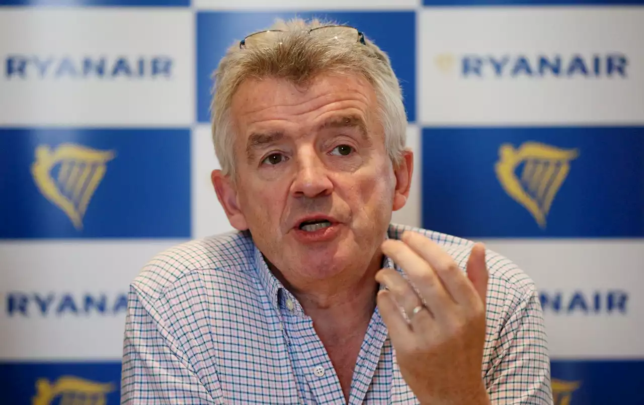 Ryanair emission payments used to 'fund school bus fleet' - O'Leary