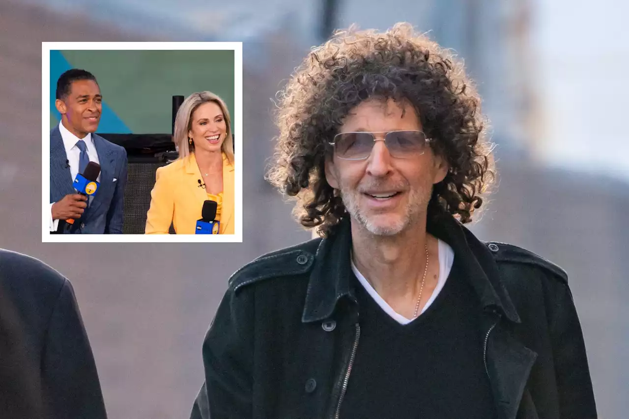 Howard Stern criticizes coverage of 'GMA' hosts T. J. Holmes and Amy Robach