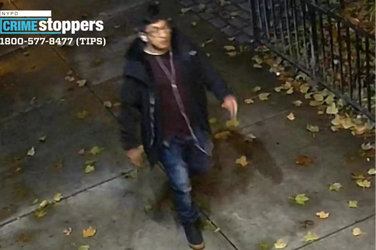 Stranger tries to rape 19-year-old NYC college student on way home: cops