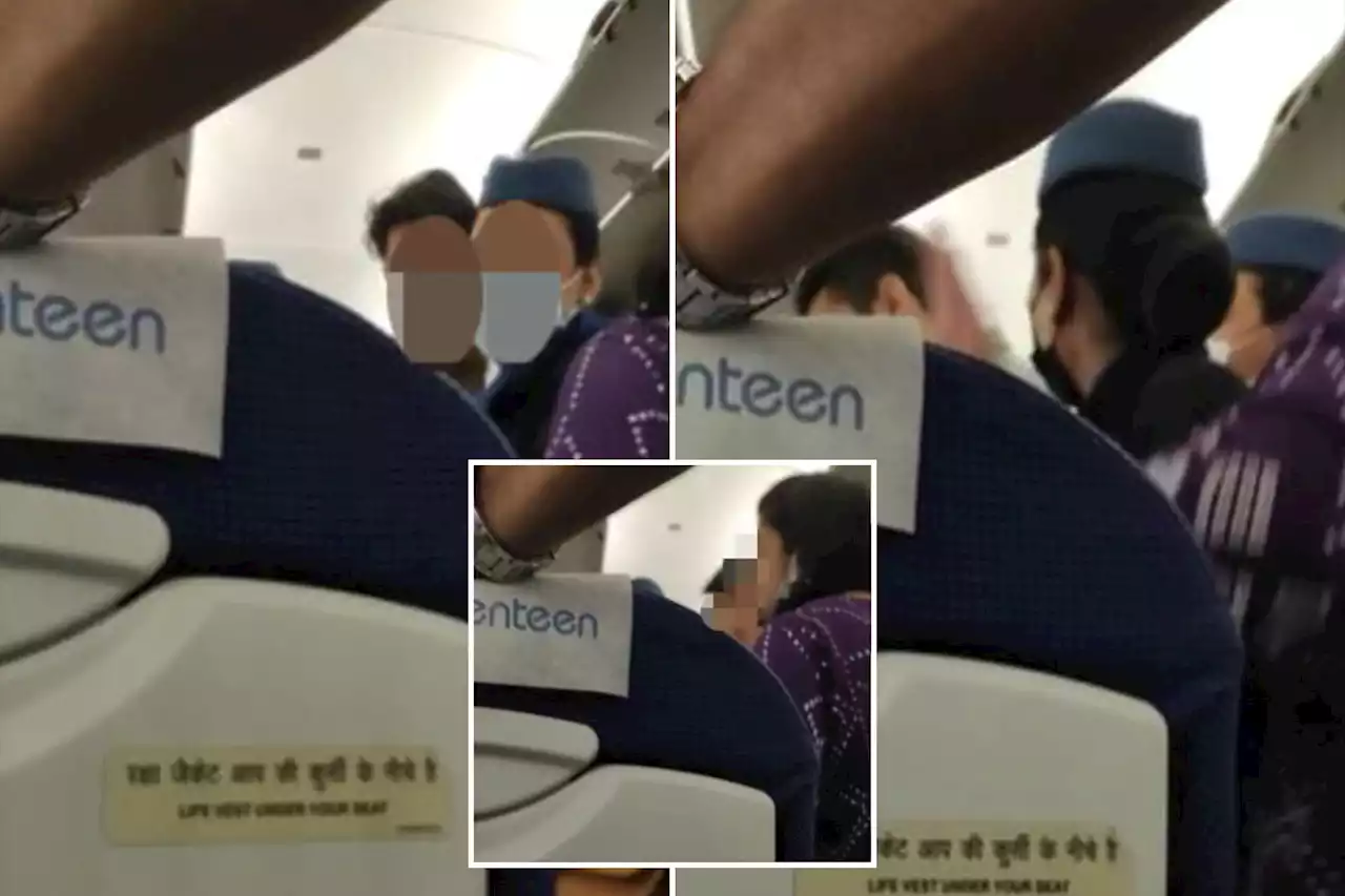 Two passengers caught fighting over bag space during flight