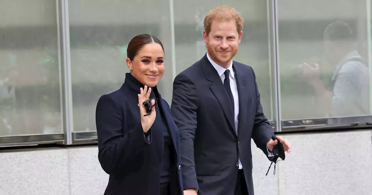 Harry and Meghan's Netflix show branded 'destructive act of revenge', by experts