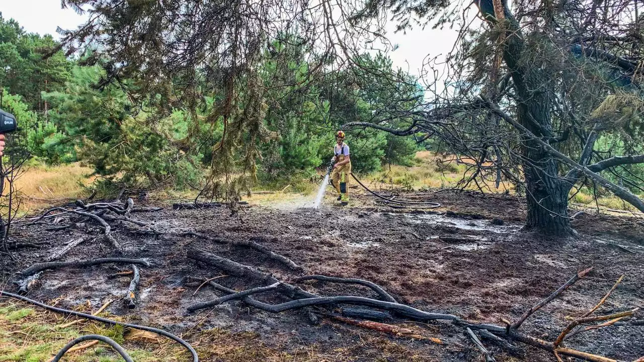 Jonge pyromaan verraadt zichzelf bij branden in natuurgebied