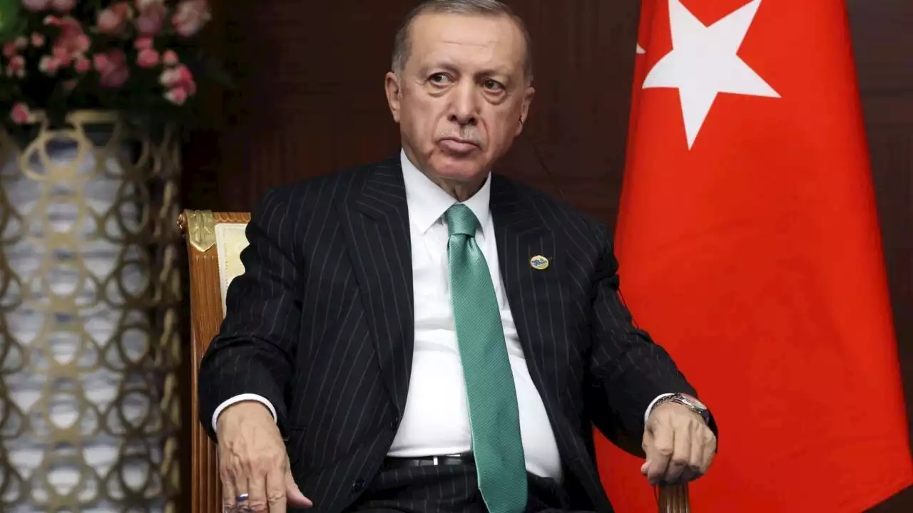 Turquie: le président Erdogan accuse la grande distribution d’alimenter l'inflation galopante