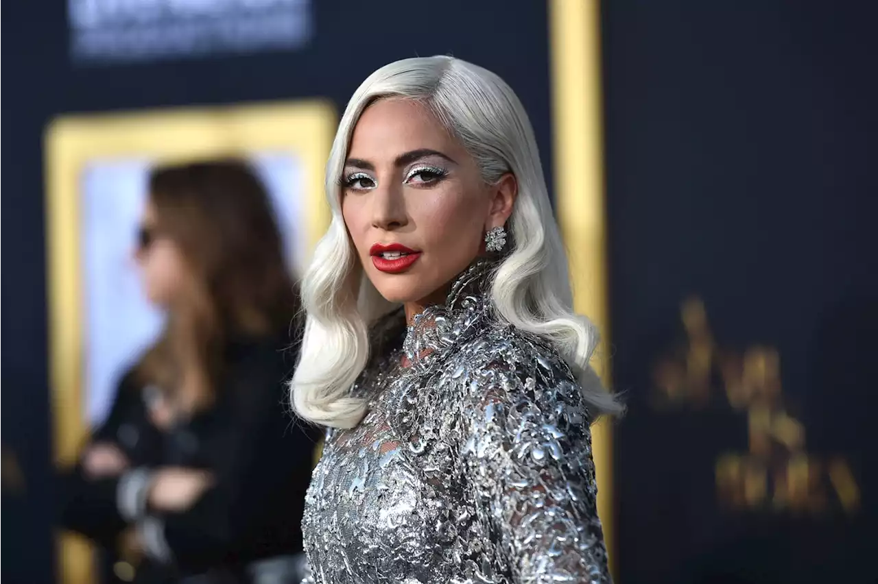 Lady Gaga Dognapping Shooter Sentenced to 21 Years in Prison, Confronted by Victim in Court