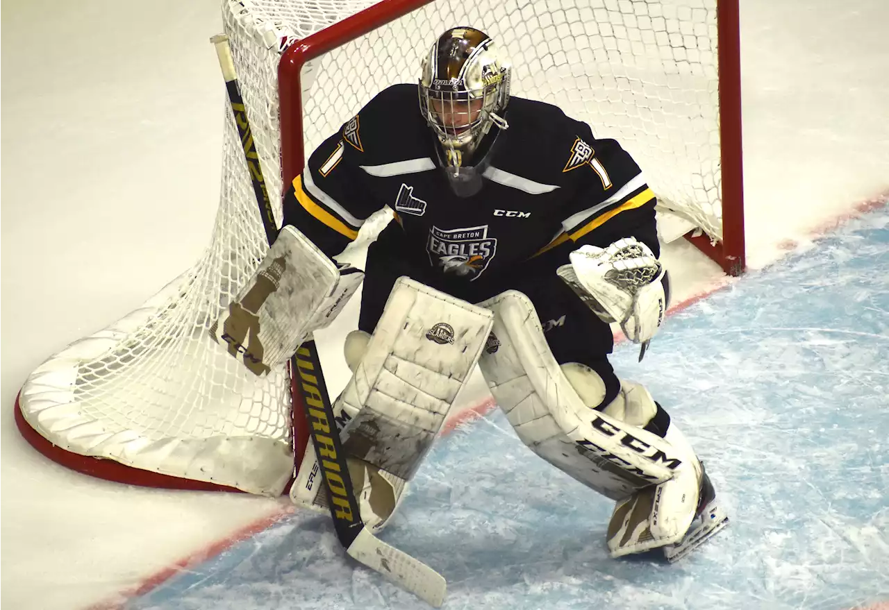 Cape Breton Eagles split QMJHL road trip in Moncton and Charlottetown | SaltWire