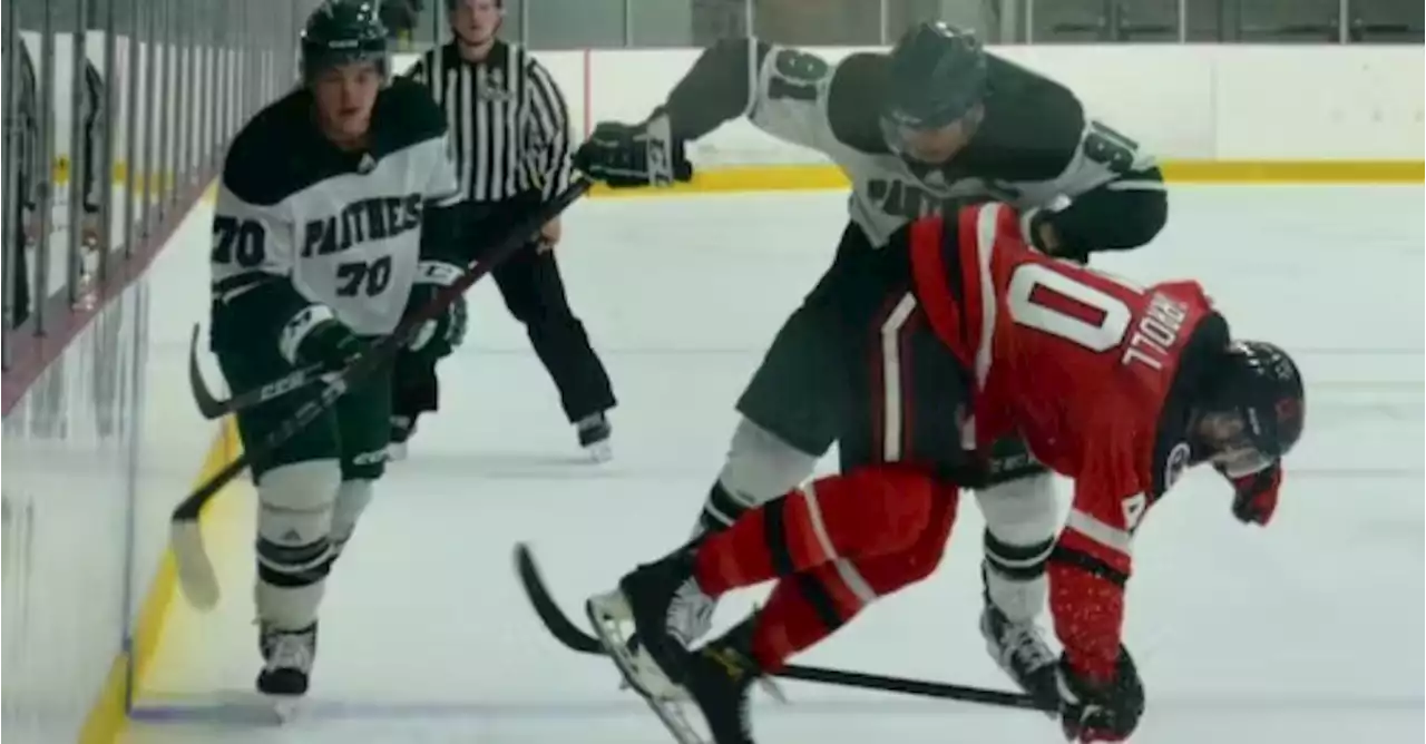 UNB Reds, UPEI Panthers do not disappoint in anticipated showdown | SaltWire