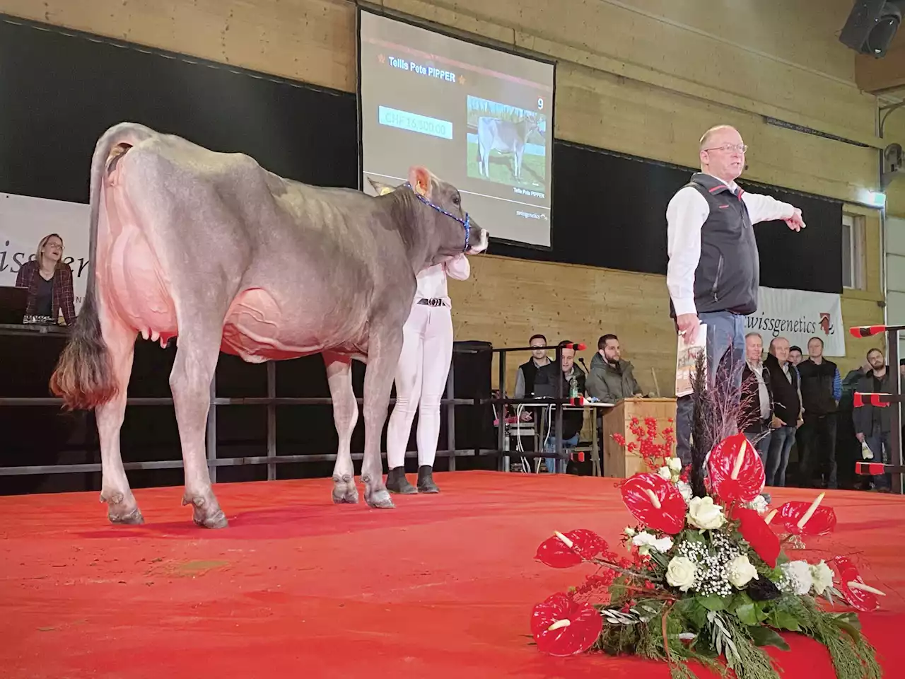 9 Tiere knackten 10’000-Franken-Marke - Schweizer Bauer