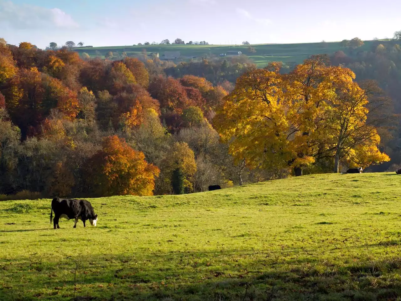 Farmers can apply for £250k to help bid to reduce pollution