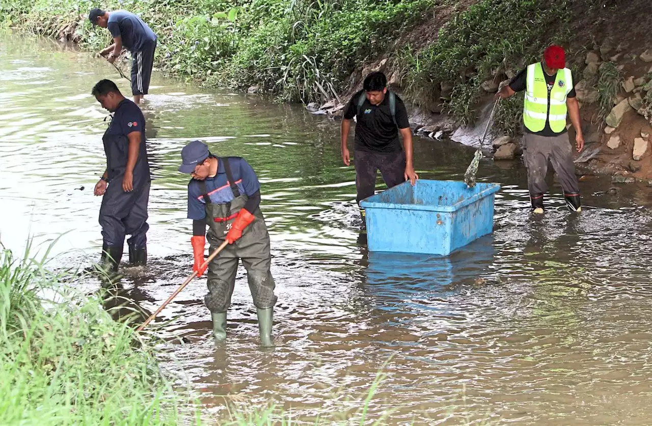 Plogging to keep Sepang river clean