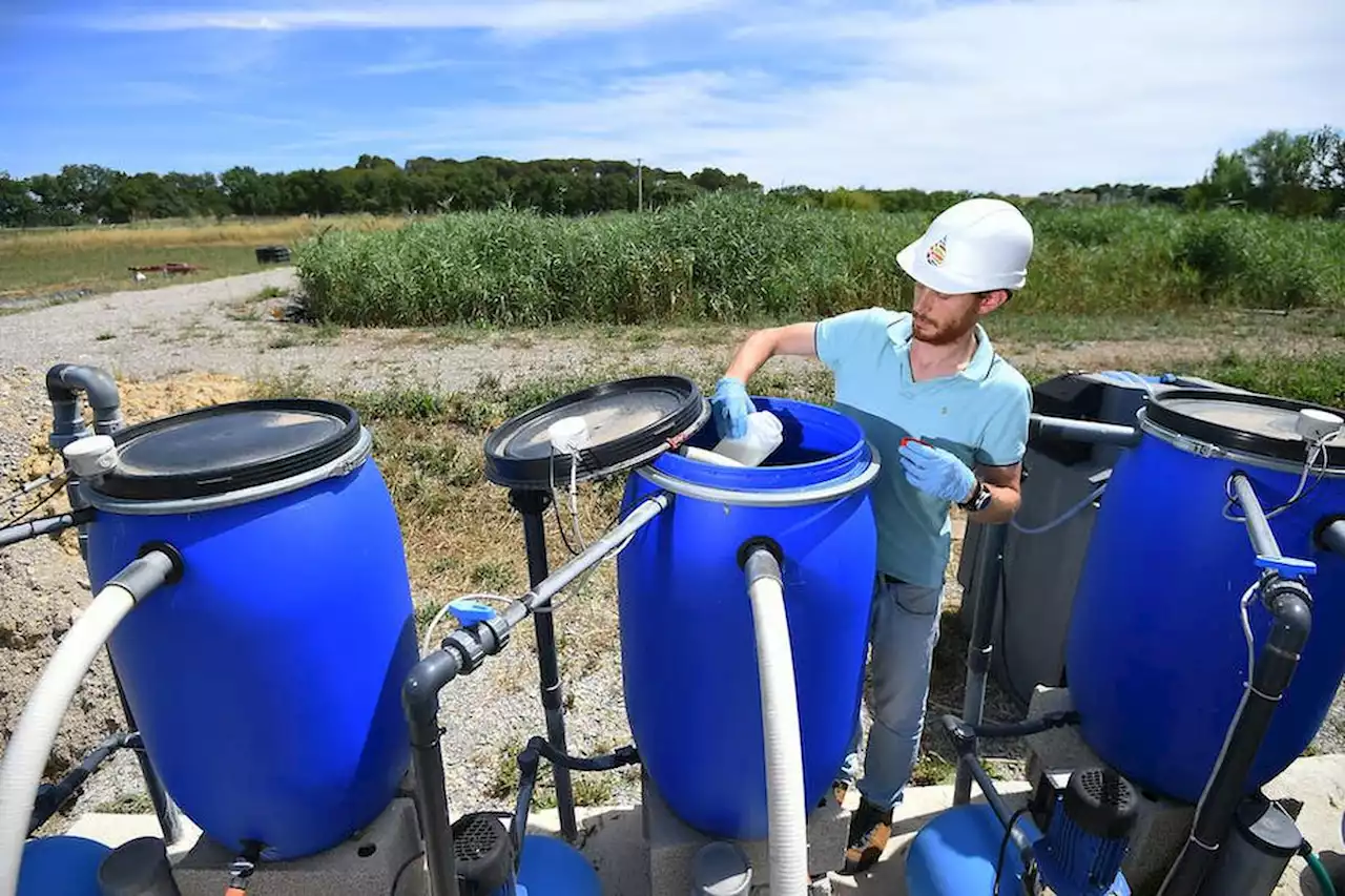 Sécheresse 2022 en France : la question de la réutilisation des eaux usées revient sur la table