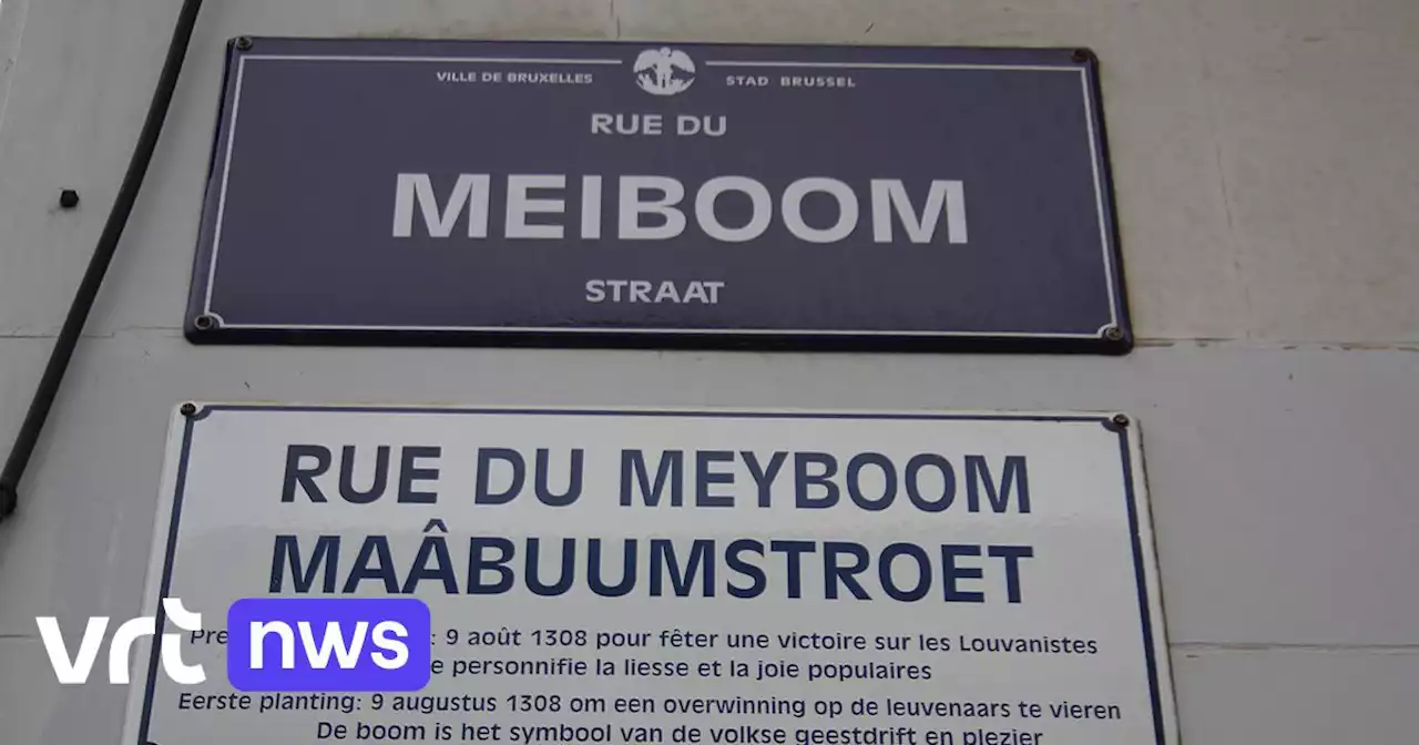 Universiteit Gent zoekt inwoners uit rand rond Brussel die nog sappig dialect praten