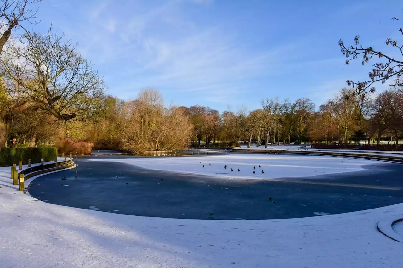 Cold weather alert issued for Yorkshire by Met Office as temperatures set to plummet