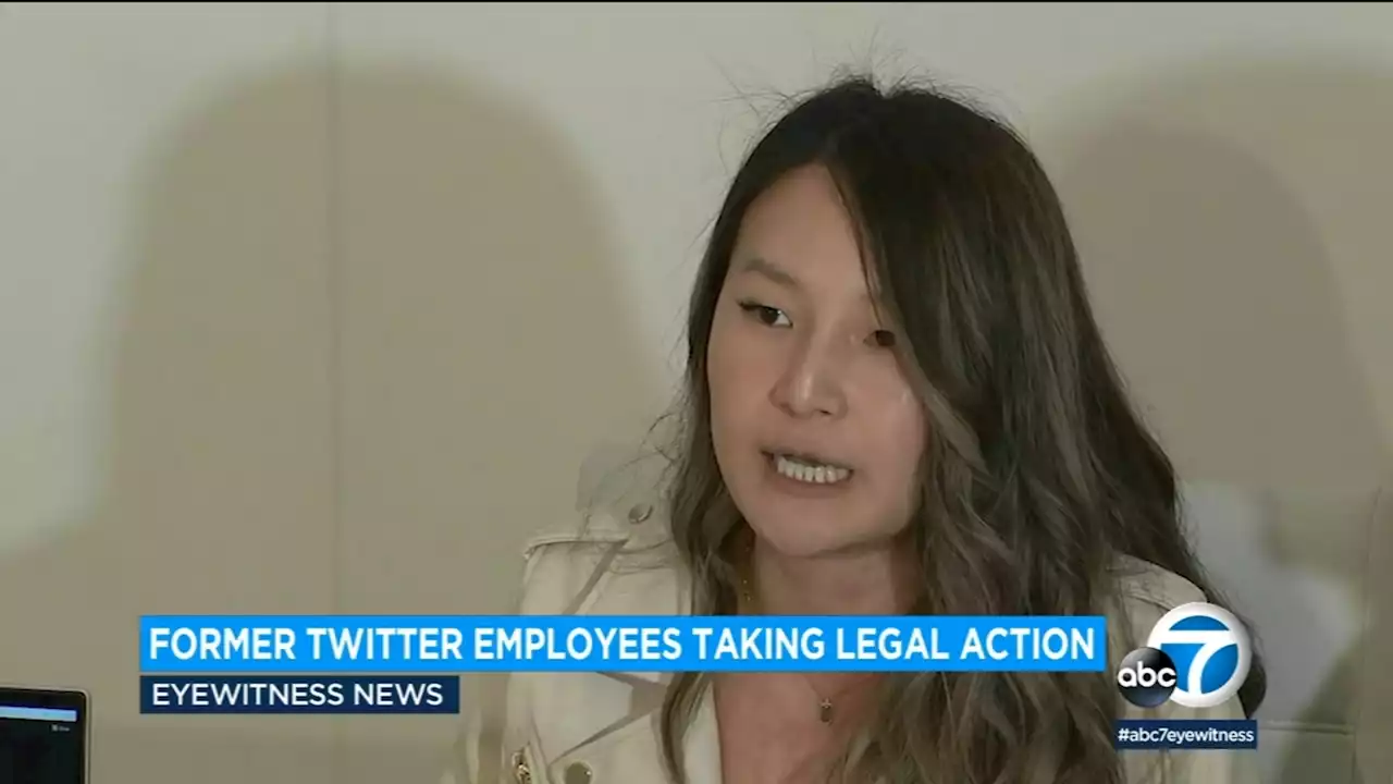 Group of laid-off Twitter employees suing Twitter and Elon Musk: 'Workers are not dirt'