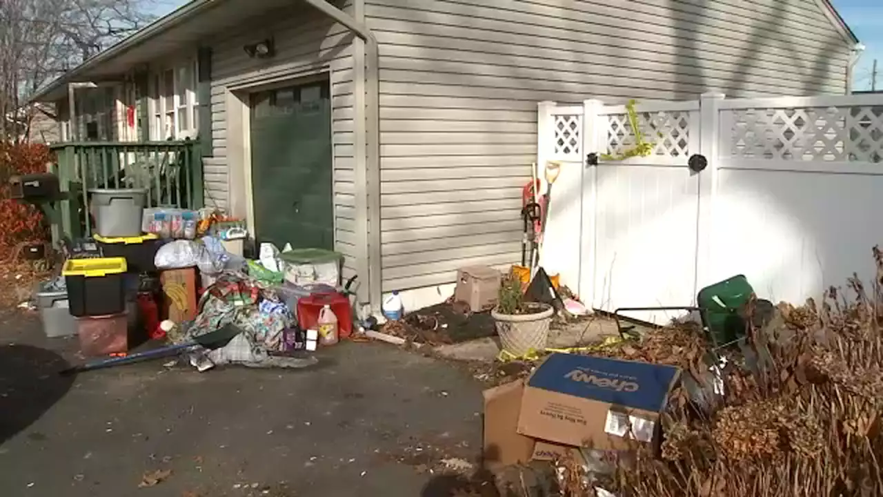 180 dogs, cats discovered locked in cages in horrible conditions in New Jersey