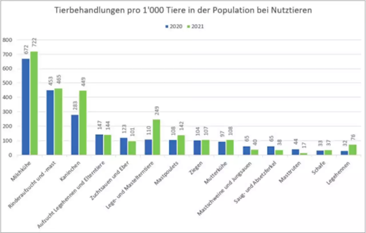 Milchkühe und Rinder werden am häufigsten mit Antibiotika behandelt - bauernzeitung.ch