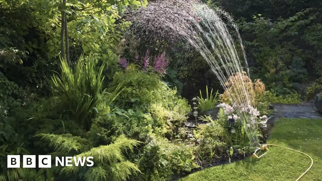 Yorkshire Water hosepipe ban lifted after three months