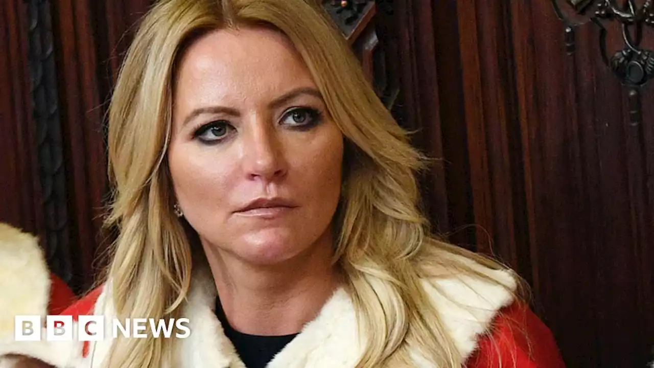 Conservative peer Michelle Mone to take leave of absence from Lords