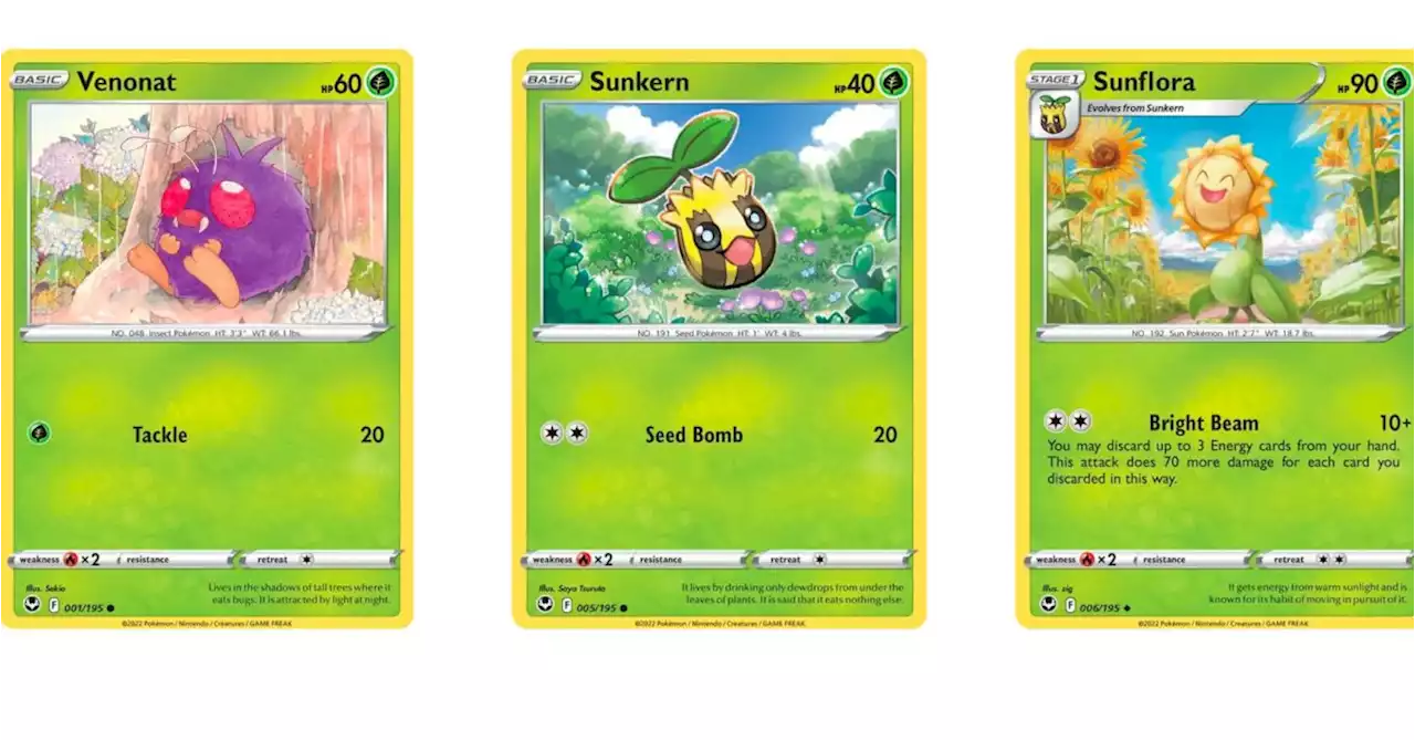 The Cards Of Pokémon TCG: Silver Tempest Part 1: Set Begins