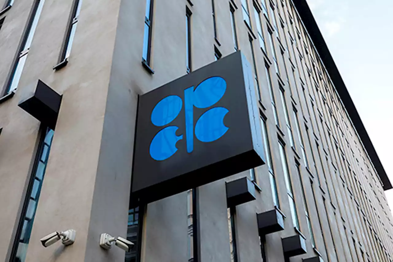 Opec+ maintains oil shipping targets as Russian price cap stirs uncertainty - BusinessMirror