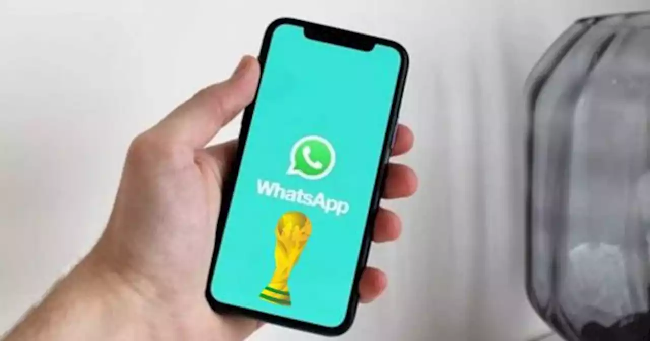 WhatsApp: cambian las llamadas y hay una funci�n exclusiva que muy pocos pueden usar