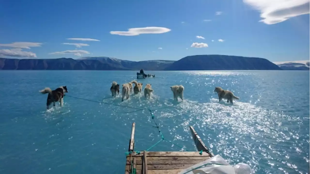 December serving up baked Alaska and warming most of Arctic