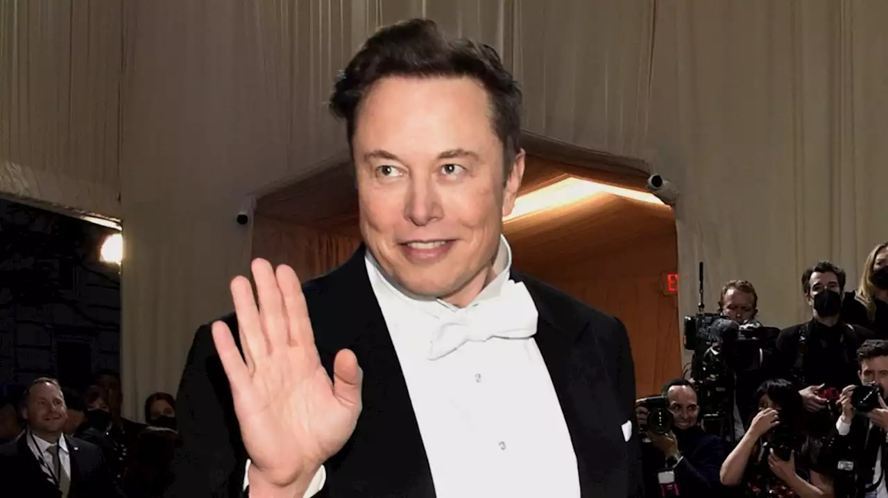 What does Elon Musk's brain chip company Neuralink do?