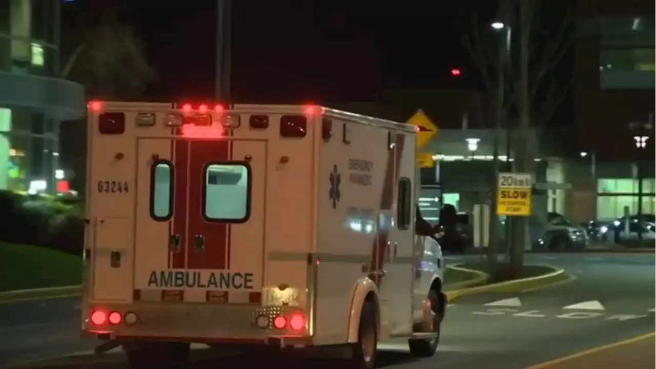 Woman arrested after trying to stop paramedics from treating patient in Victoria, police say