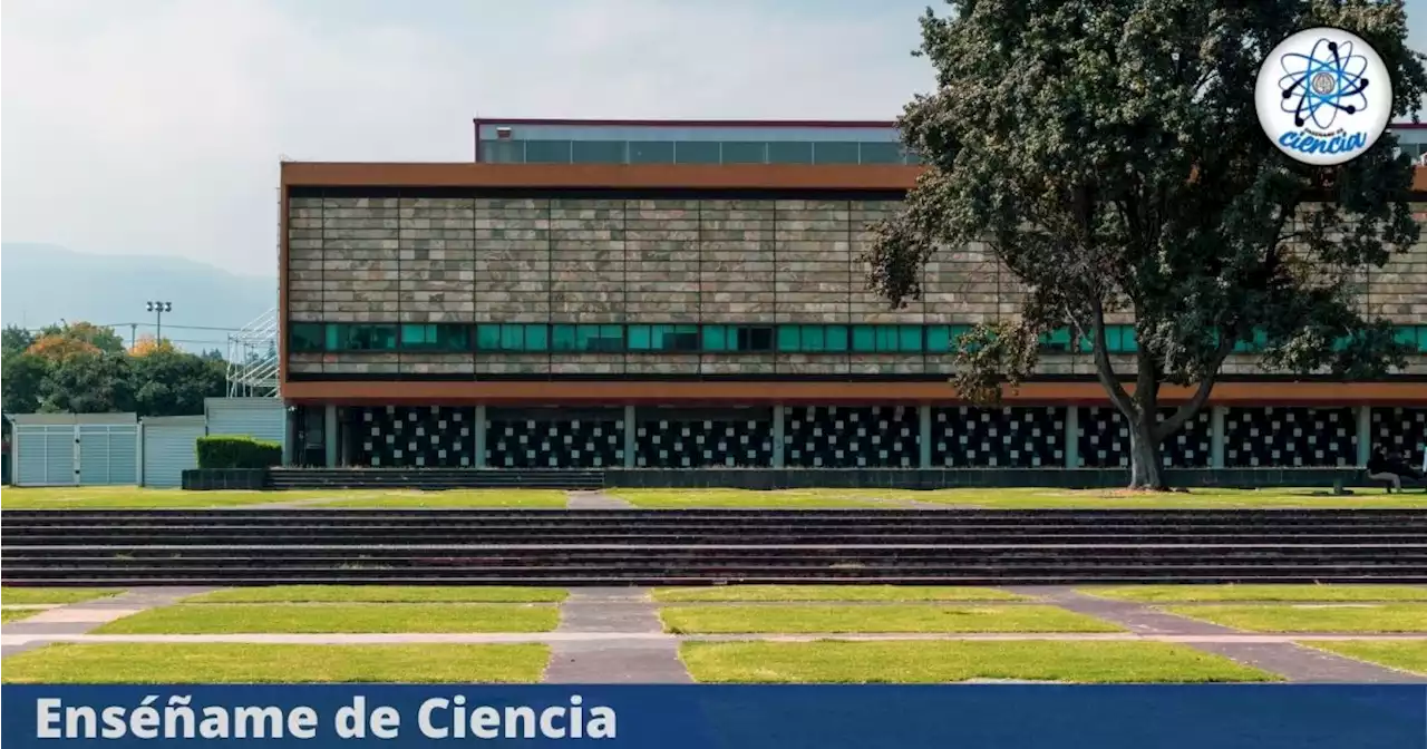 ¿Cómo acceder al curso de inglés GRATIS que la UNAM ofrecerá todo el 2023?