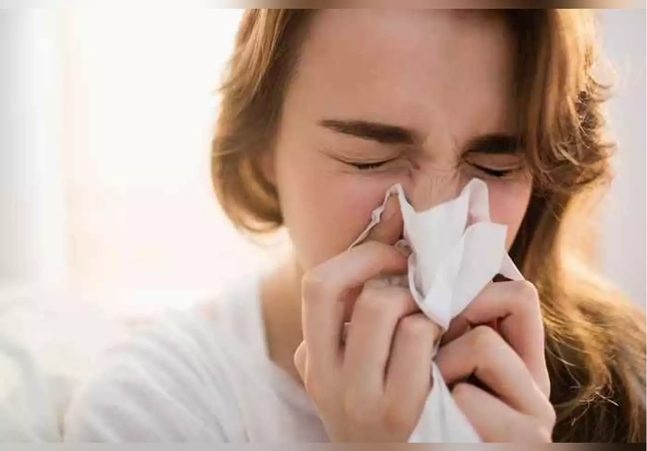 Une réponse immunitaire récemment découverte explique pourquoi nous sommes plus susceptibles de tomber malade en hiver