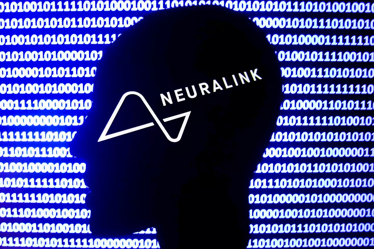 Musk’s Neuralink Link Under Federal Investigation Over Alleged Animal Welfare Abuses, Report Says