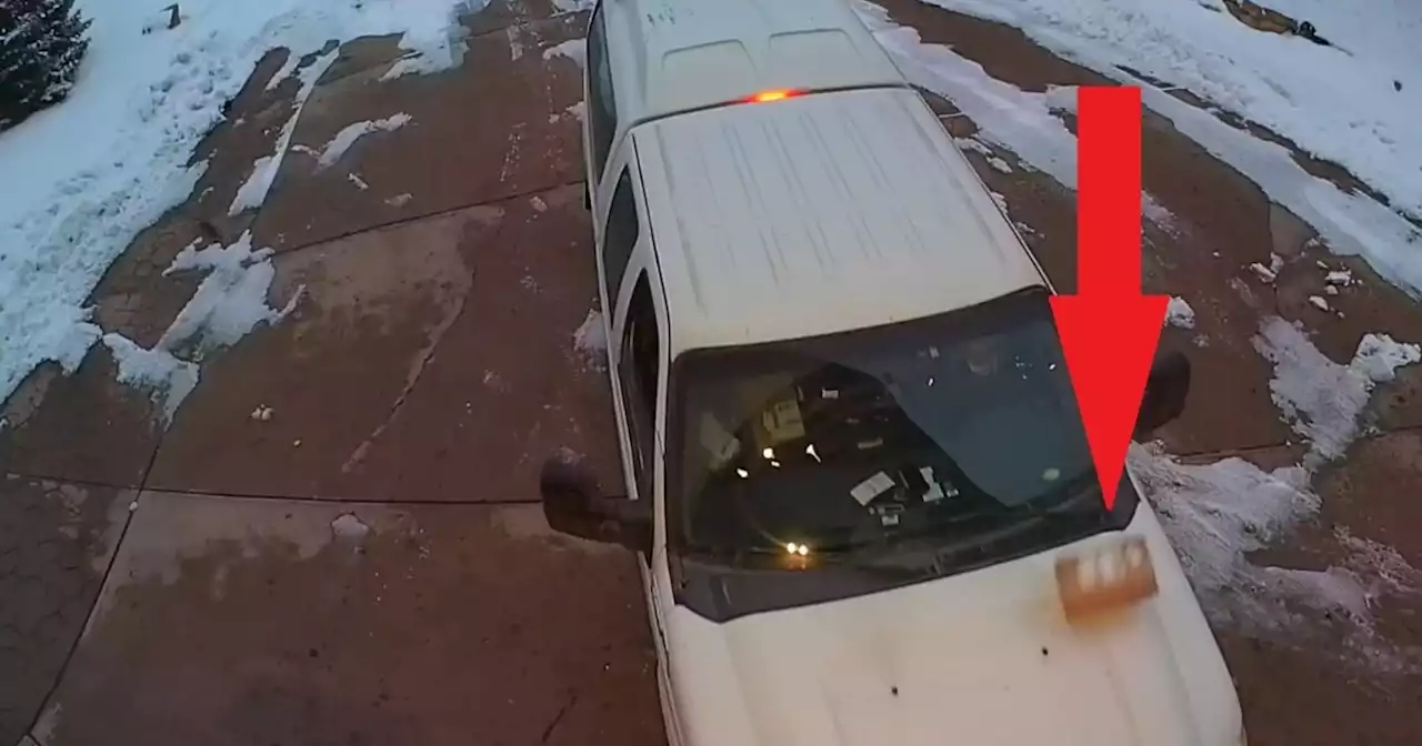 Grinchy FedEx driver seen tossing package at Park City home