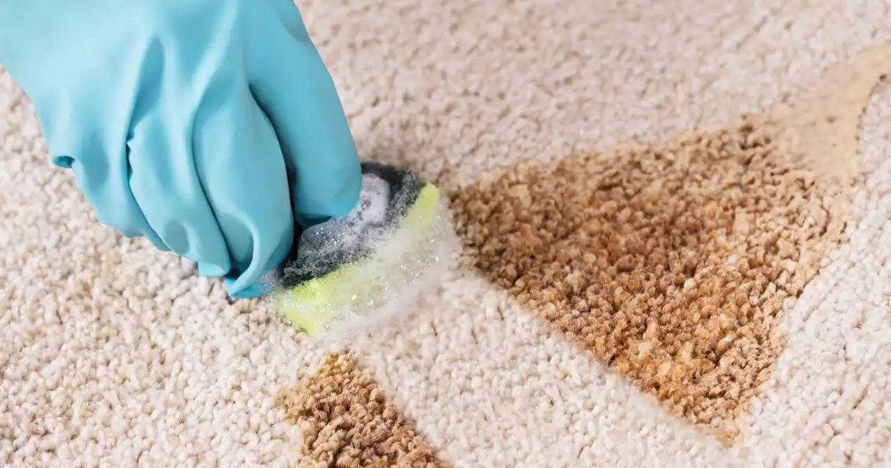 Cleaning expert shares the £1.50 item that will clean any carpet in 20 minutes