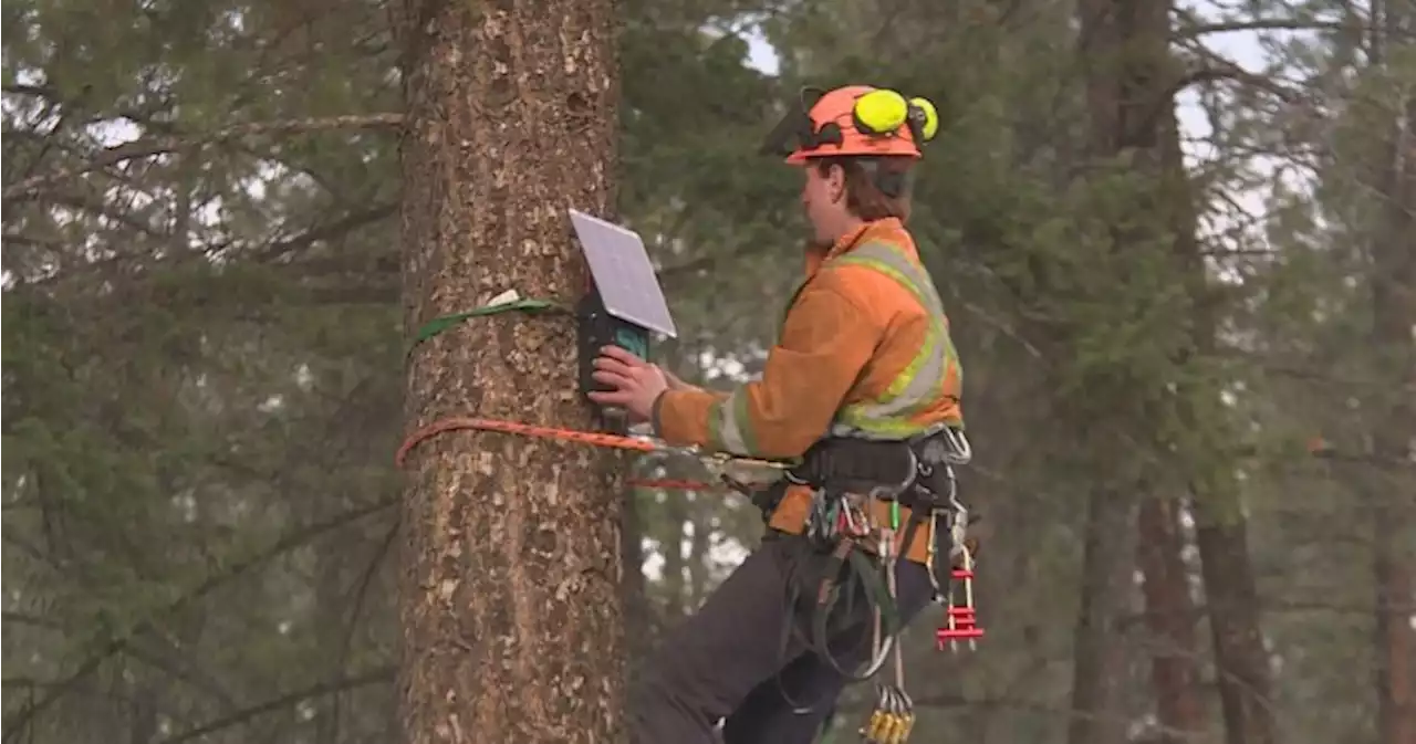 Early wildfire detection sensors installed near Vernon, B.C. | Globalnews.ca