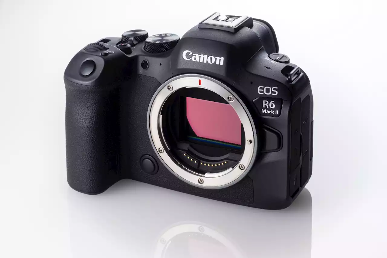 キヤノン「EOS R6 MarkⅡ」実機レビュー=コスパ最高の高性能自動AFカメラだ! - トピックス｜Infoseekニュース