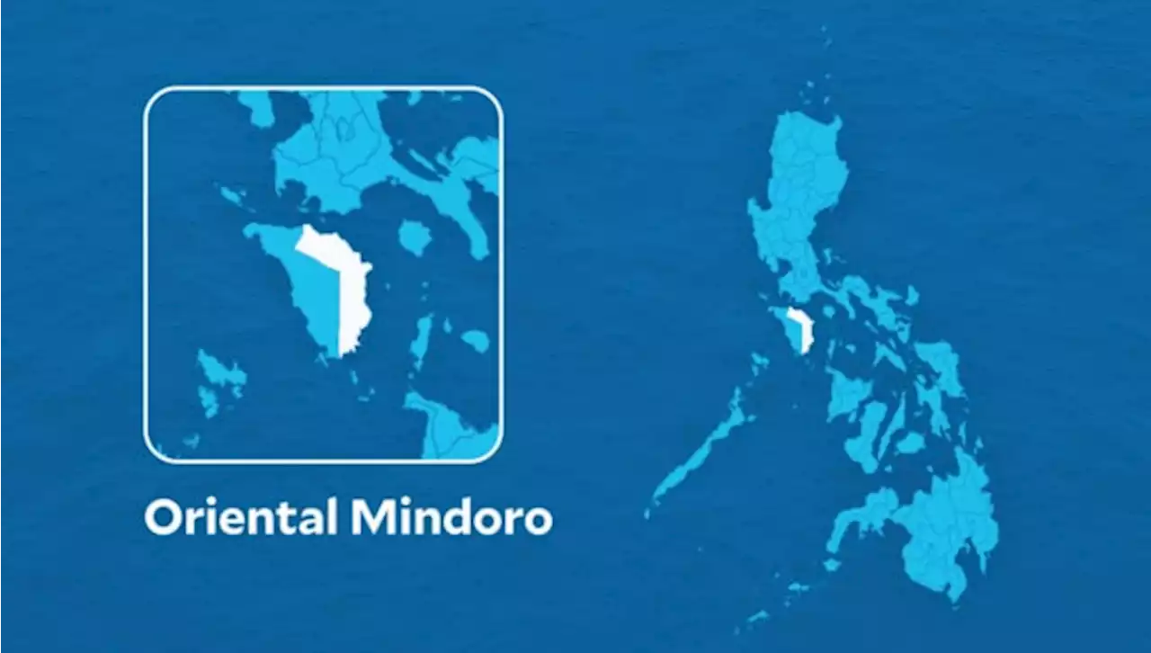 Mindoro locals rally vs ‘armour rock ordinance’